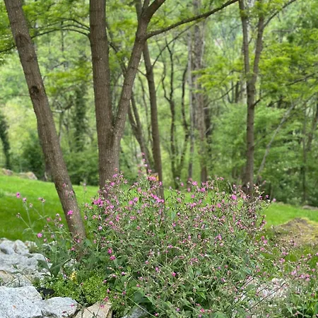 Nuit Romantique , Rencontre Avec La Nature Riverenert