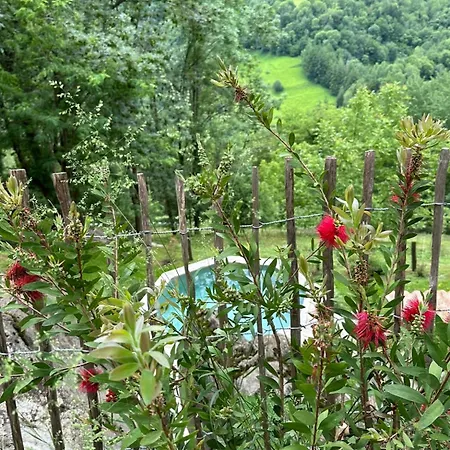Nuit Romantique , Rencontre Avec La Nature * Riverenert