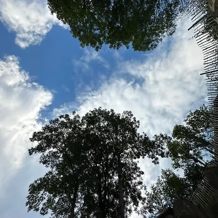 Nuit Romantique , Rencontre Avec La Nature *