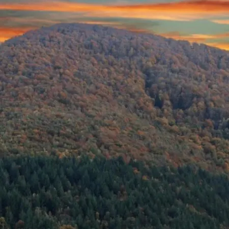 Nuit Romantique , Rencontre Avec La Nature *
