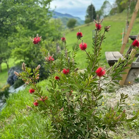Nuit Romantique , Rencontre Avec La Nature بيت للعطل