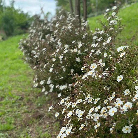 Nuit Romantique , Rencontre Avec La Nature بيت للعطل Riverenert