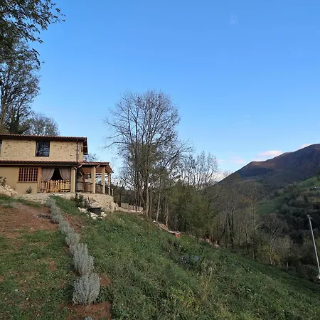 Nuit Romantique , Rencontre Avec La Nature Feriehus Riverenert