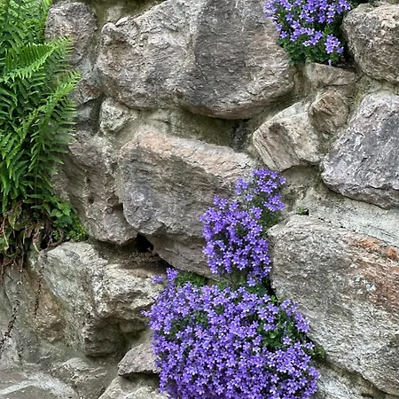 Feriehus Nuit Romantique , Rencontre Avec La Nature Riverenert